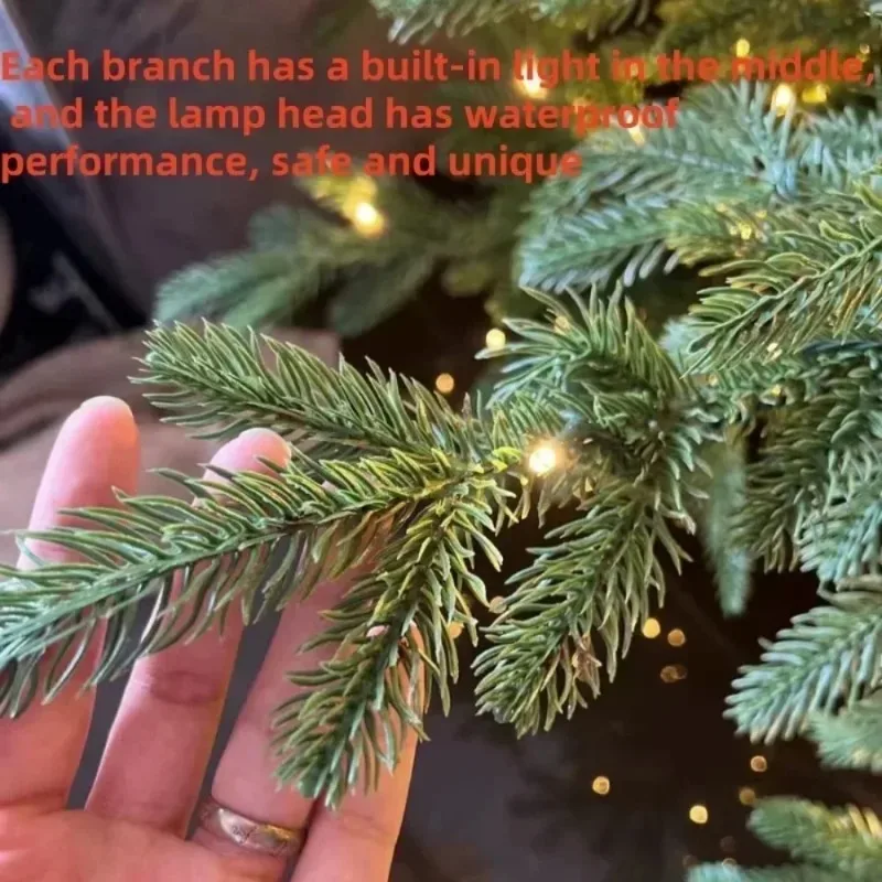 S157032e31f174880b64013fda171cf41R 2.webp