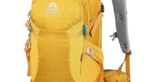 S35ffdc73ab4149cb968a7545528ea9900 1.webp