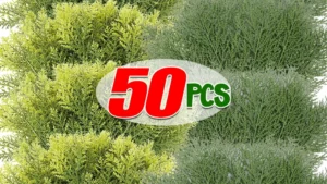 S52cb5d1e34084b12b0561d15f14976d70 2.webp