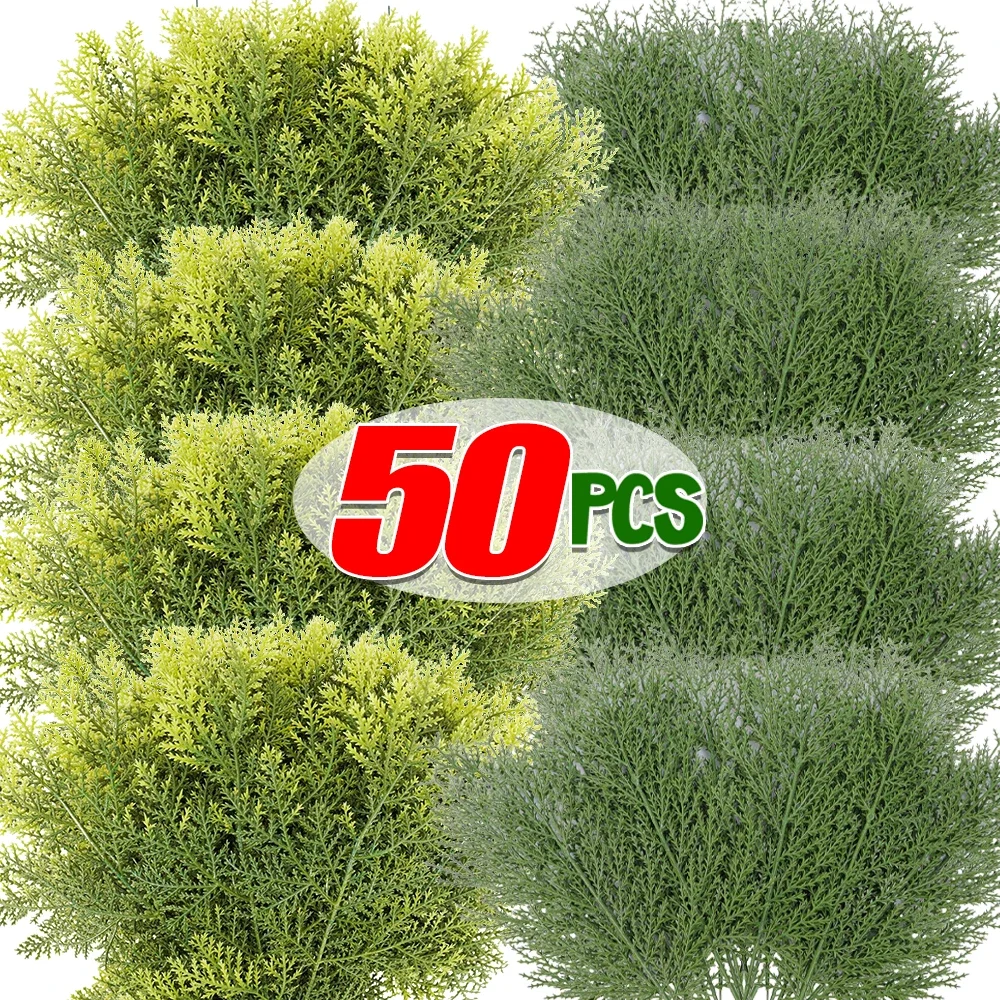 S52cb5d1e34084b12b0561d15f14976d70 2.webp