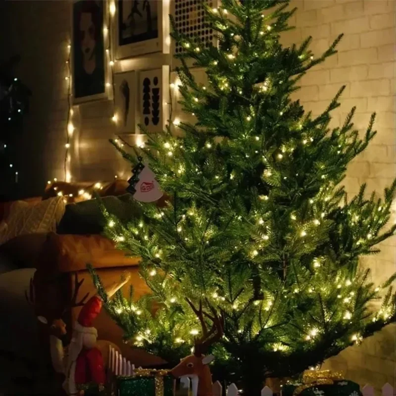 S551f219902f040438d67207809e56220e 2.webp