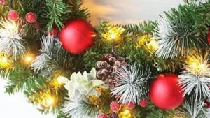 S5dd441d25f1d41cfb216b6d3aa22b8a3z 1.webp