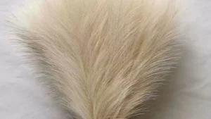 S69ab0ff9e5514e62be21781c85f935adn 1.webp