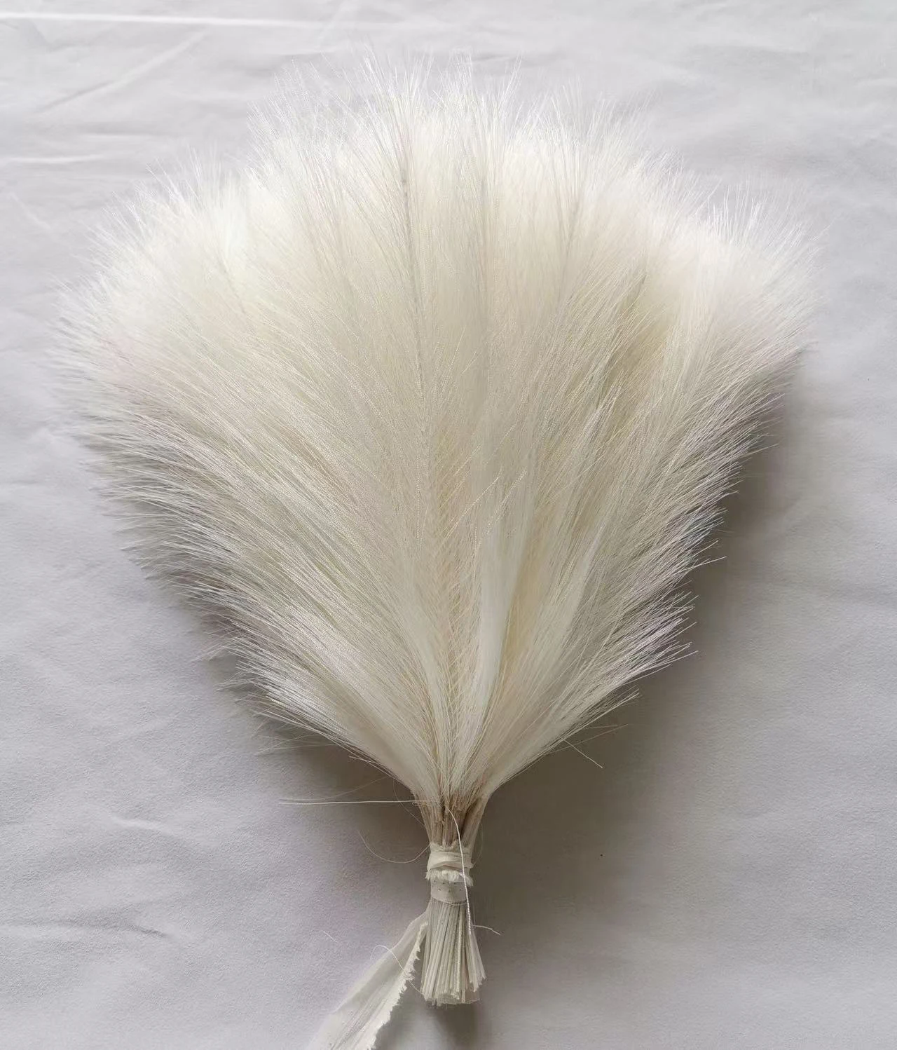 S9086ec15116249aea4ee61ea1e451024p 1.webp