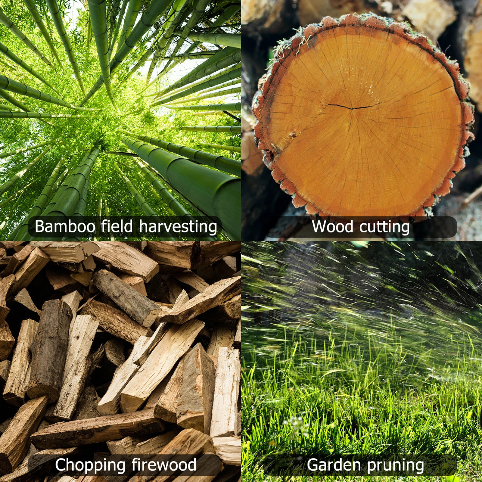 S9146b4a9df3e4c1da363c4dbf853359dj 1.webp