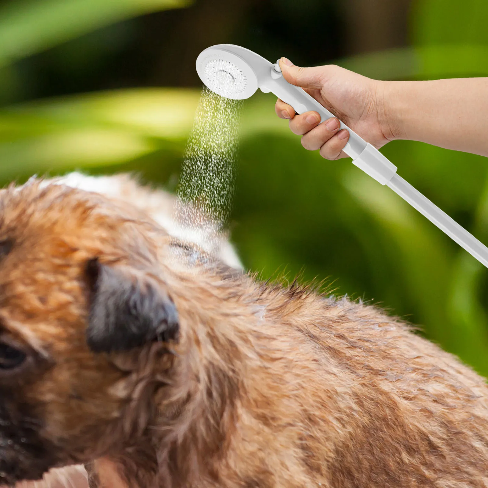 Sbf1f4f9dd71c482c996299aaf243ad86x 1.webp