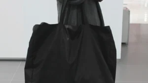 Sc379360d991b4851bbe3240a3f588ea9Q 2.webp