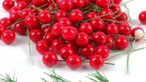 Sd1a2cc1797d840ed934d0cad9cbba789t 2.webp