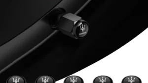 Sddd982ce732d435c9e93868d5c3e91ada 1.webp