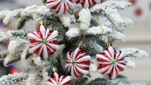 Sf251a759cfac42e1bf95fdfab621cfd8I 1.webp